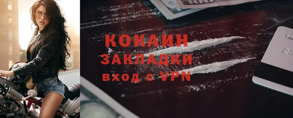 мет Алексин