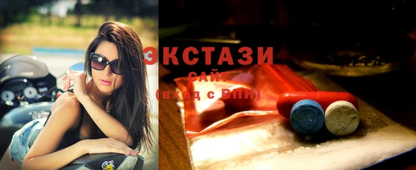мет Алексин