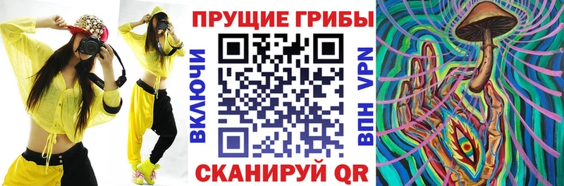 где купить наркоту  Полтавская  omg вход  Галлюциногенные грибы Psilocybine cubensis 